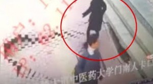 Səki qadını “uddu” - VİDEO