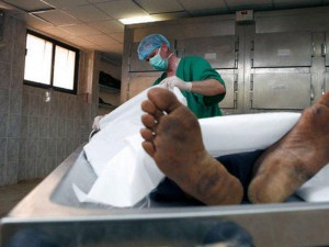 “Bura suda boğulma, yol-nəqliyyat hadisələri, yanıq... - "Morq"un direktoru danışdı