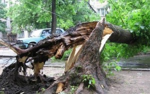 FHN bağlanan yolla bağlı açıqlama yaydı