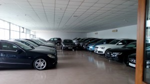 Avtosalonların fəaliyyəti bərpa oluna bilər - Deputat