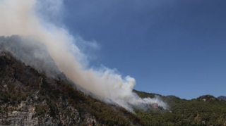 Türkiyədə 98 meşə yanğınından 88 -i lokallaşdırılıb