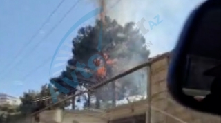 Bakıxanovda ağac yandı - VİDEO 