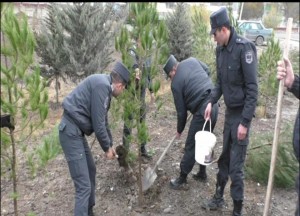 Kürdəmirdə polislər ağacəkmə aksiyasında fəal iştirak ediblər
