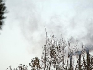 Havanı çirkləndirən şadlıq saraylarının adları açıqlanıb