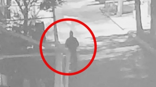 Evlərdən və avtomobillərdən oğurluq edən iki qardaş saxlanıldı - FOTO - VİDEO