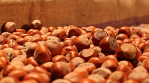 Fındıq oğruları saxlanılıb