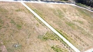 Maraqlı mənzərə;  Sumqayıtda stadionun ortasından yol salındı - VİDEO 