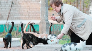 Küçə heyvanlarını yemləyən şəxs cərimələnib? - AÇIQLAMA 