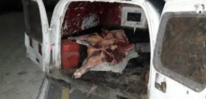 Maşından 180 kq mənşəyi məlum olmayan ət aşkarlanıb