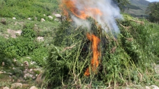 Müsadirə olunmuş narkotik vasitələr məhv edildi 