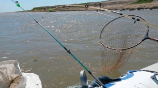 Qanunsuz balıq ovlayan şəxs tutuldu 