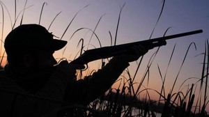 İcazəsiz ov edən şəxslərə 2000 manat CƏRİMƏ