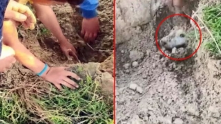 Uşaqlar diri-diri basdırılan küçükləri xilas etdilər   - VİDEO