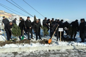 Ağacəkmə aksiyasında Daşkəsən polisi də qoşulub  - FOTO