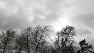 В ближайшие два дня ожидается сильный ветер - ПРЕДУПРЕЖДЕНИЕ 