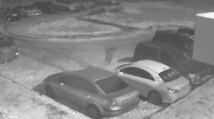 Borcu geri almaq istəyən şəxs yeddi avtomobilin şüşəsini qırdı   - VİDEO