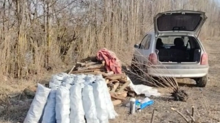 Qanunsuz yolla ağac kömürü istehsal edən quyular aşkarlandı - FOTO