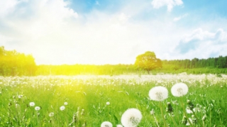 Sabah 42 dərəcə isti olacaq