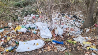 Xaçmazda bələdiyyə sədri məsuliyyətə cəlb edildi  - FOTO