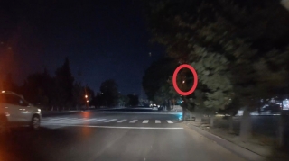 Sürücülər ağacın arxasında qalan svetoforu görə bilmir - VİDEO