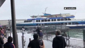 Bərə körpüyə çırpıldı: xəsarət alanlar var - VİDEO