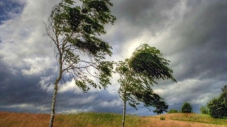 Küləkli hava sabah da davam edəcək 