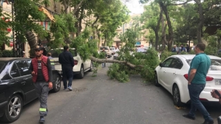 Bakıda güclü külək ağacı qıraraq avtomobillərin üzərinə aşırıb - FOTO + VİDEO 