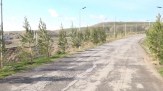 Bələdiyyə sədri kənd sakinlərinin ağac əkməsinə icazə vermədi - VİDEO 