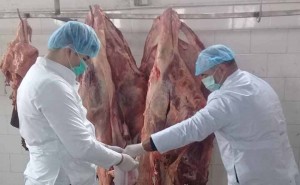 İstehlak üçün yararsız olan 227 kq ət məhv edilib - Sumqayıtda