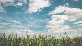 Sabah Bakıda hava yağmursuz olacaq, külək əsəcək