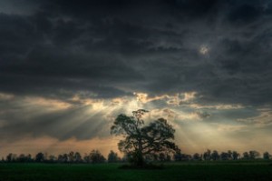 Şənbə gününün hava proqnozu açıqlanıb