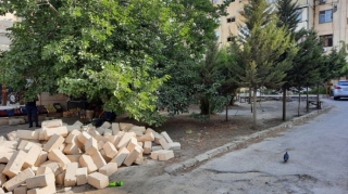 Nizami rayonunda ağacların kəsilərək tikinti aparılmasının qarşısı alınıb  - FOTO