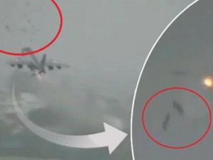 Təyyarə quş sürüsünə çırpıldı: pilotun peşəkarlığı heyran etdi - VİDEO