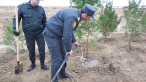 Hacıqabulda polislər ağac əkdilər   - FOTO