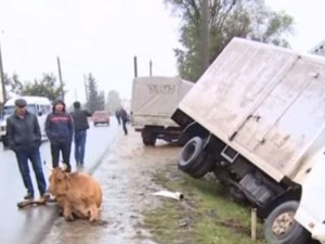 "Ford"a çırpılan firma maşını aşdı – VİDEO