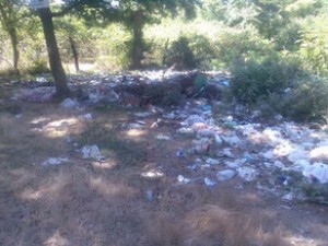 Avtomobildən məişət tullantıları atan şəxs cərimələnib - 500 manat