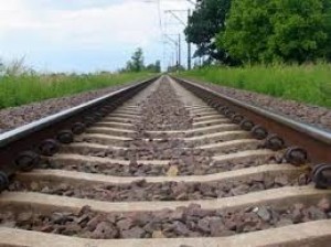 Natəvan Bayramova: “Təhlükəsizlik üçün çəpərləmə işləri aparılıb”