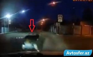 Saxtakar "piyada" özünü maşının altına belə atdı - VİDEO