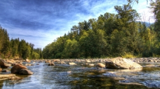 Çaylarda vəziyyət necədir? 