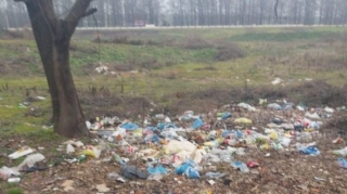 Masallıda ətrafı məişət tullantıları ilə zibilləyən şəxslər cərimələndi  - FOTO