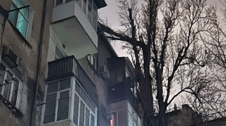 Bakıda ağac binanın üstünə aşdı  - VİDEO