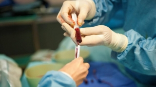 Azərbaycanda 32 nəfərə sümük iliyi köçürülüb