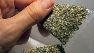 Polisə müqavimət göstərən narkotacir zərərsizləşdirildi 