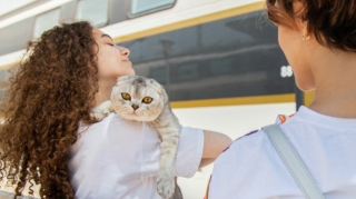 Şəhərətrafı qatarlarda sərnişin kiçik ev heyvanları apara bilərmi? 