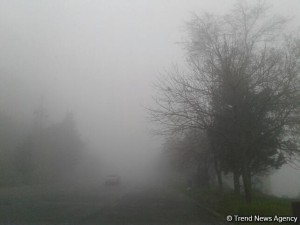 Bakı hava limanı ştat rejimində işləyir - FOTO