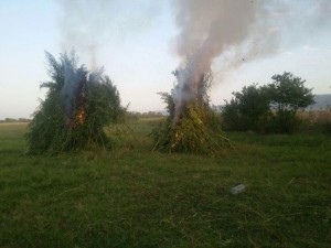 Narkotik vasitələrin ölkəyə gəti­ril­məsinin qar­şısı alınıb - FOTO