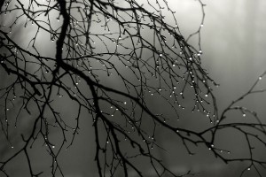 Bazar gününə gözlənilən hava proqnozu