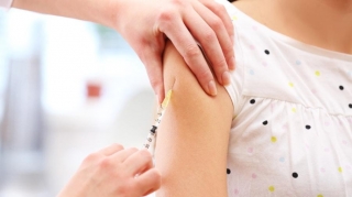 Peyvəndlərlə bağlı hökumətə təkliflər veriləcək - TƏBİB 