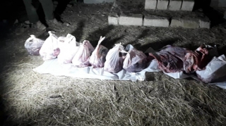 AQTA qanunsuz heyvan kəsimi fəaliyyətinin qarşısını alıb - FOTO 