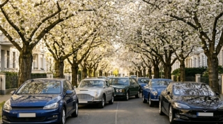 Yazda ağaclardakı bu yapışaqn maddə maşınınıza ziyan vura bilər – TÖVSİYƏ - FOTO 